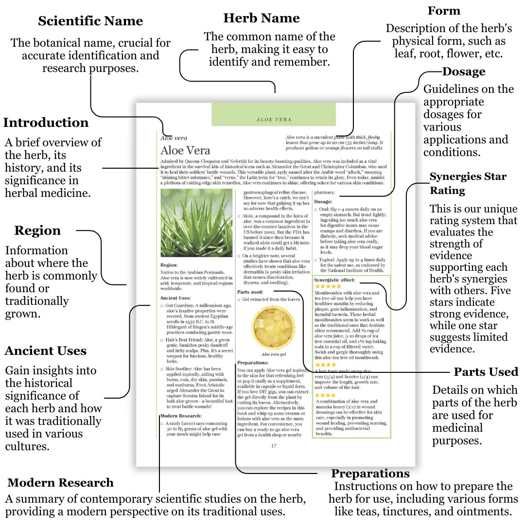 Ancient Remedies Revived - Image 11